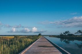 boardwalk along the lake