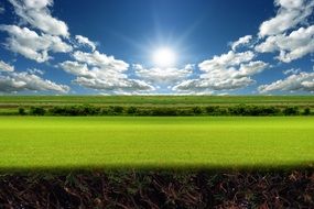 green summer landscape