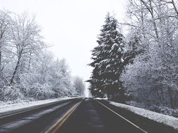 winter panorama of highway along the forest