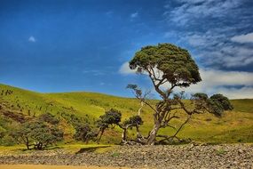 scenic coffee bay in South Africa