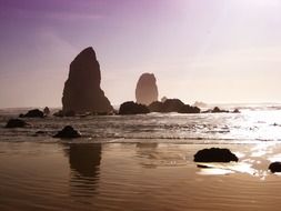 rocks on a sandy beach in oregon