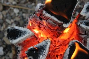 fire on the wood