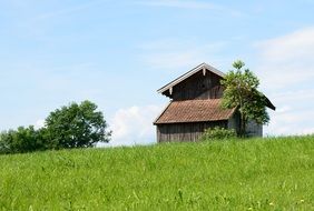 Barn among the green field