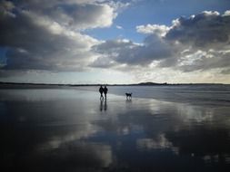 couple with a dog walk on the beach