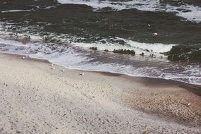 Sandy beach near the coast