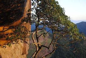 morning over the scenic nature in Pedra da Hevea