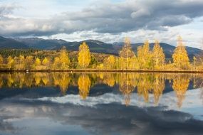 nature autumn forest reflected in lake