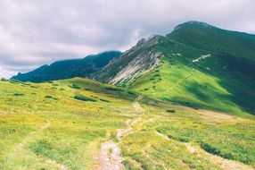 hiking trail among green hills