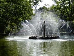 Peterhof palace fountain Sankt Petersburg Russia