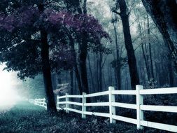 white fence in the forest at twilight