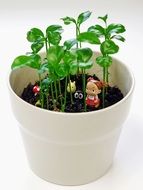 small figures among ornamental plants in a flower pot