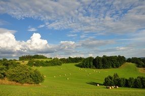 white clouds over summer landscape