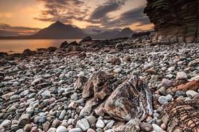 beach coast stones sunset landscape