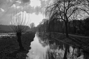 Pasture river in Niederrhein, black and white