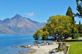 the scenery of summer mountain lake