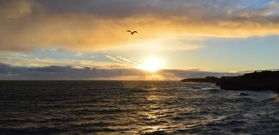 twilight over the ocean