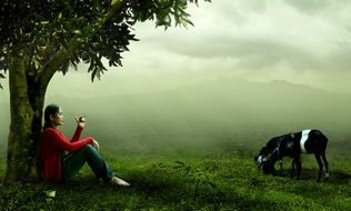 woman sitting near a tree near animals