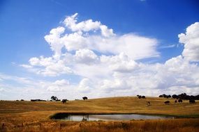 blue sky and white clouds over the pasture