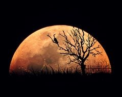 tree on the background of the moon