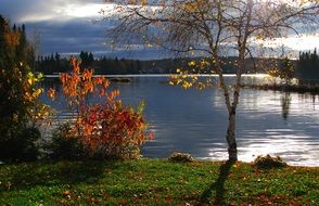 very beautiful autumn landscape