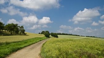empty road in a green field