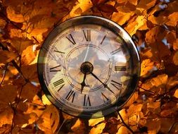 life time clock against the golden leaves