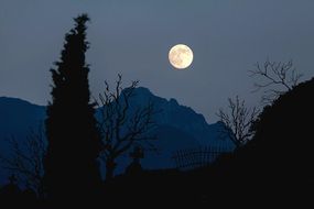 bright full moon in the night sky