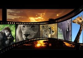 Clip art of animal movie