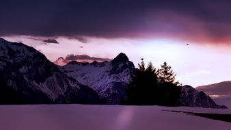 landscape of winter mountains in the colorful twilight