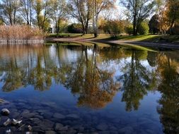 picturesque park is reflected in a pond in switzerland