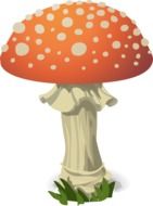 mushroom fly agaric darwing