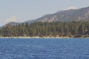 lake trees summer forest nature landscape