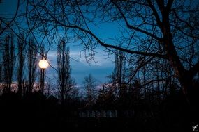 landscape of spring evening sky