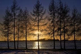 lake behind trees, sunset