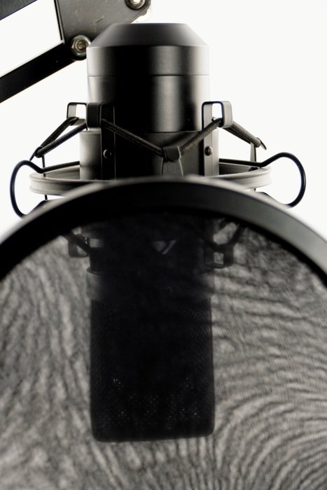 black and white picture of a vocal microphone