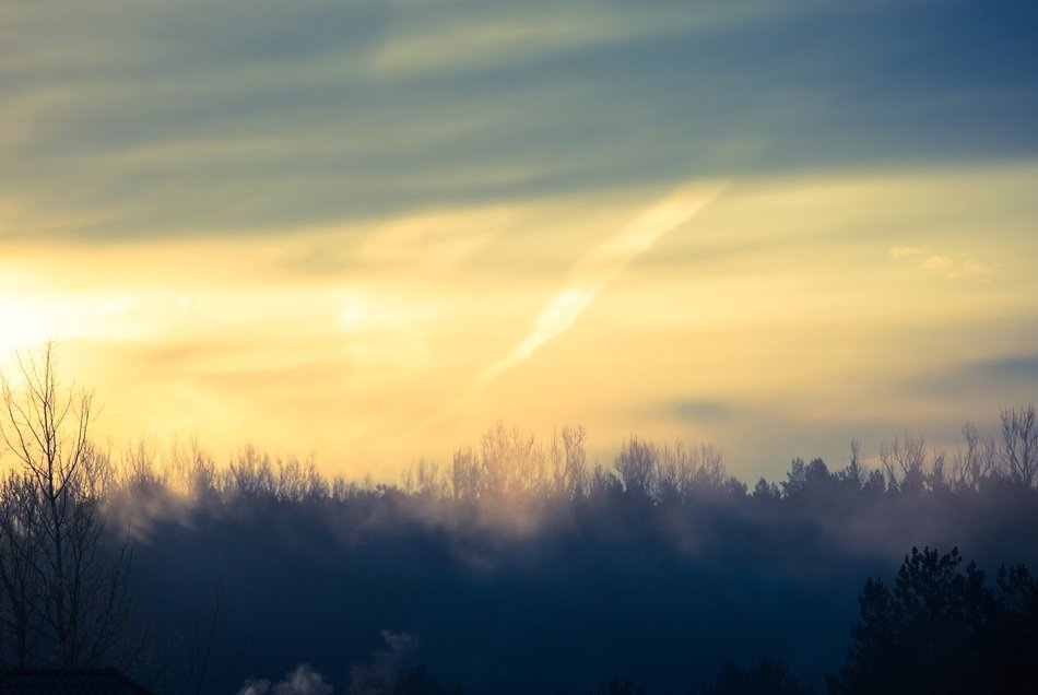 sunrise over the trees
