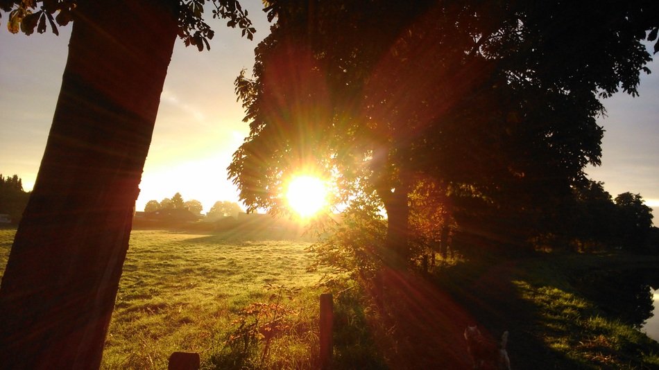 autumn sunrise, landscape