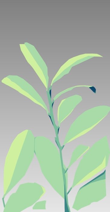 The picture with green plant