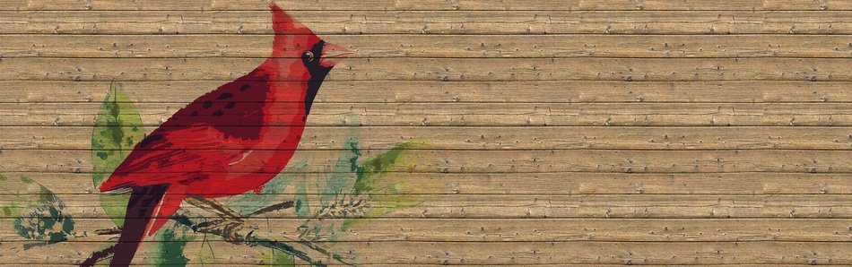 painted red bird on the banner