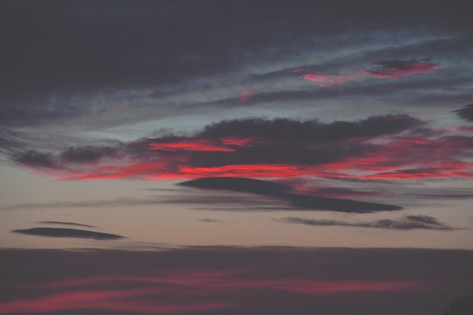 Landscape with the orange sunset in the evening