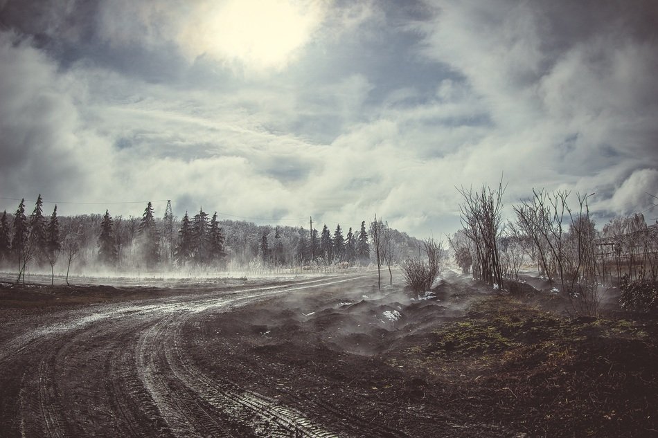 field in winter