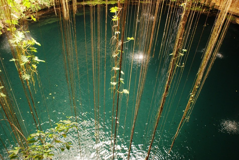 amazing beauty jungle water