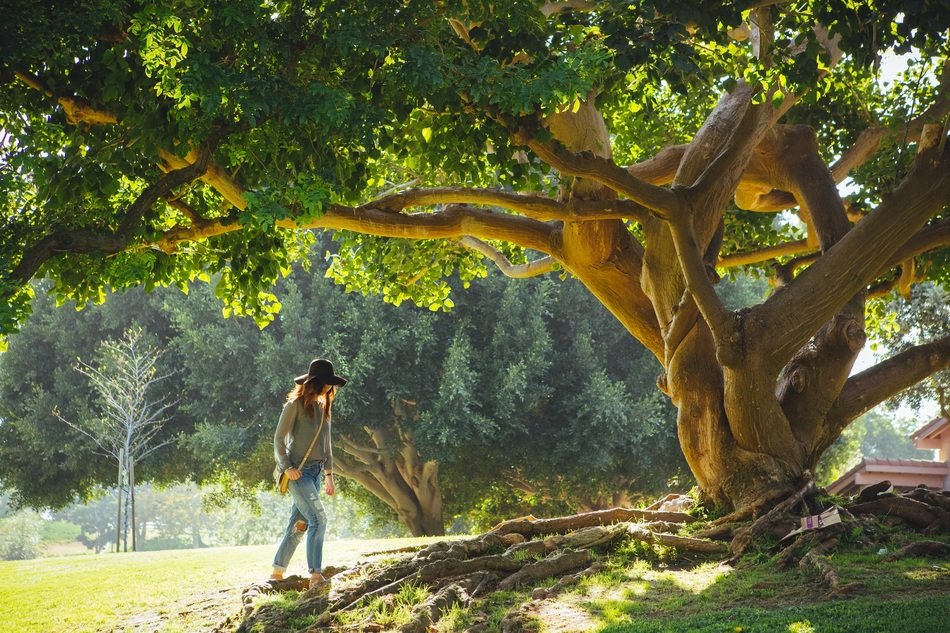 girl under a big beautiful tree