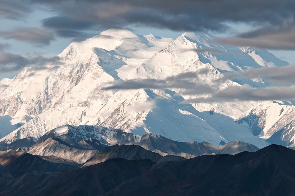 landscape of the denali national park