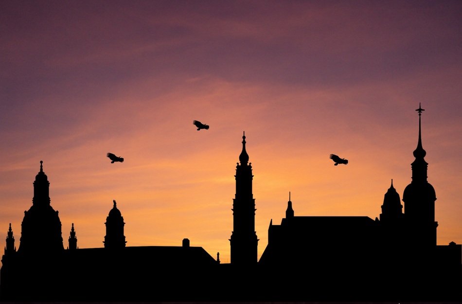 silhouettes of birds over spiers of cathedrals at sunset