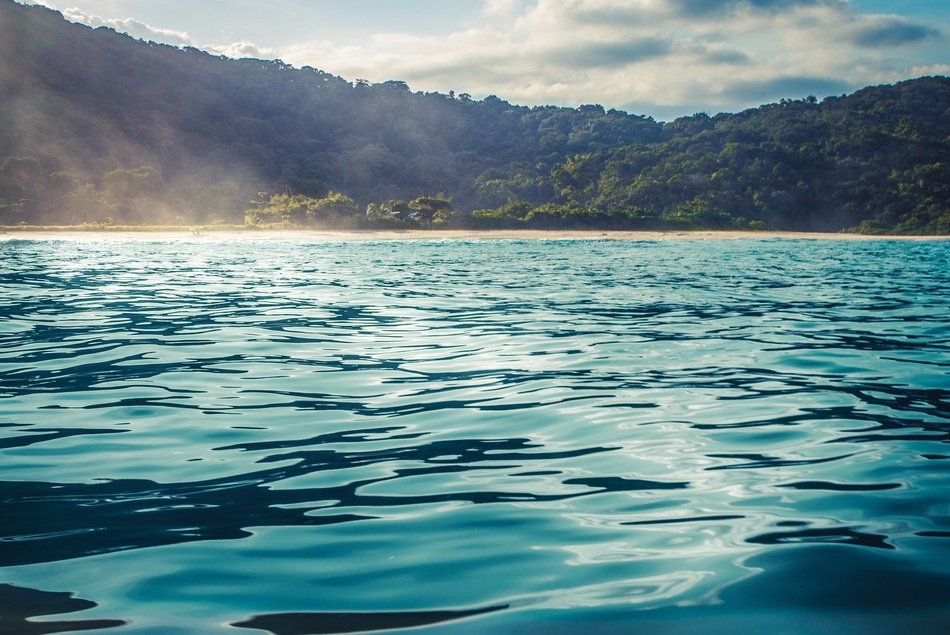 Beautiful cove with plants on the shore