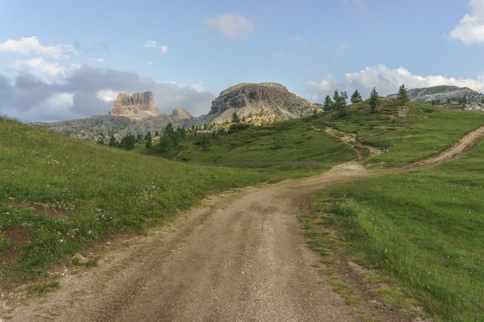 Scenic view of the road
