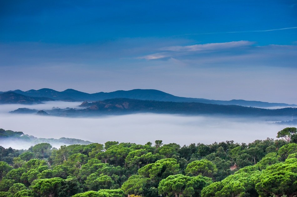 mountains and woods with clouds landscape