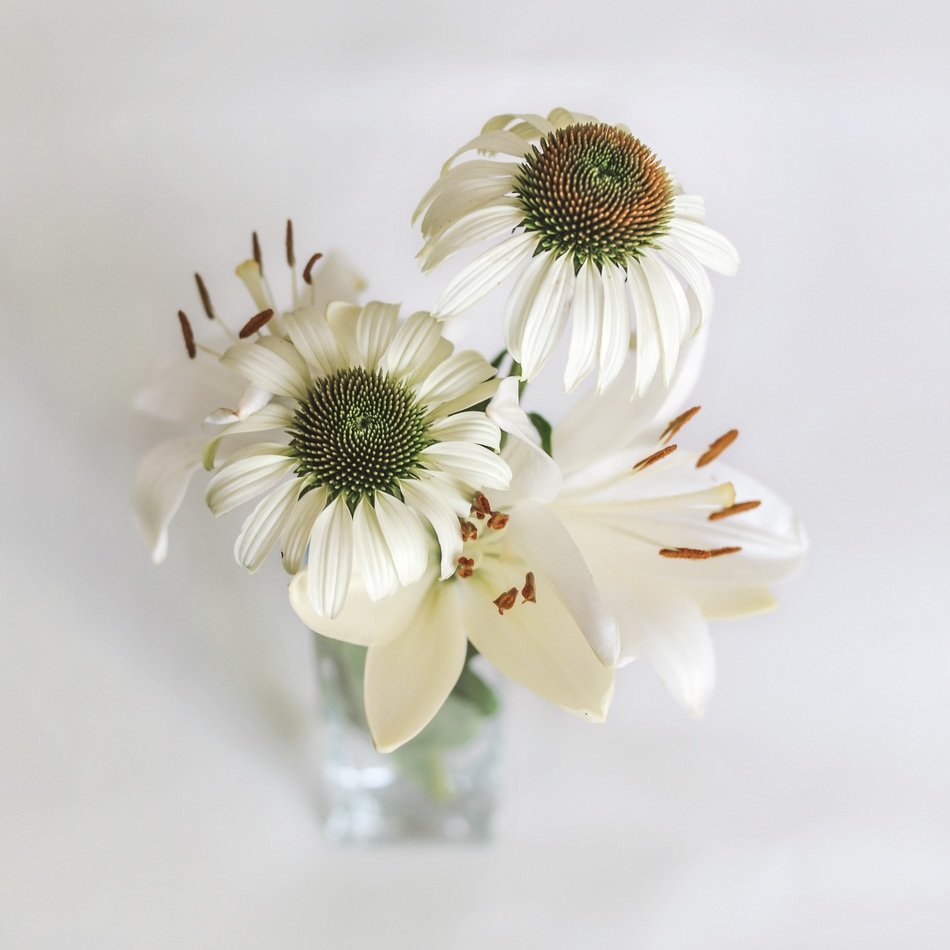 white lilies and coneflowers in vase
