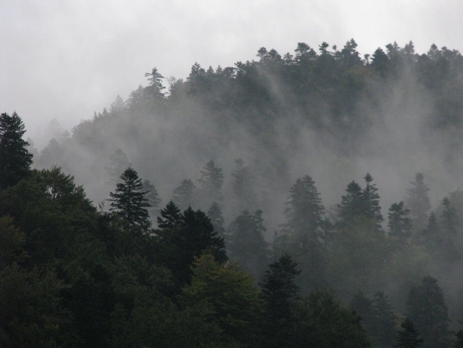 haze over the Carpathians at dusk